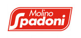 Spadoni