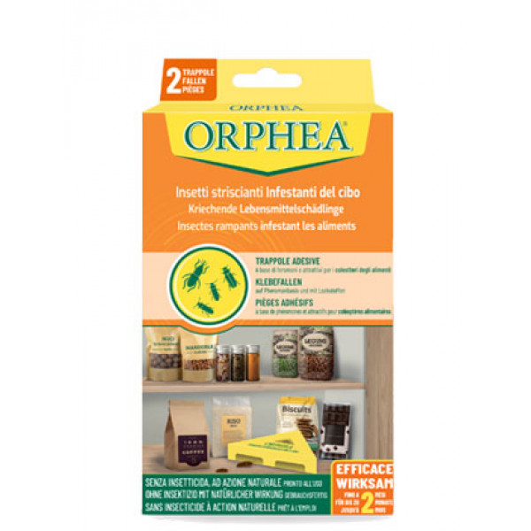 Past za plezeče kuhinjske insekte, Orphea