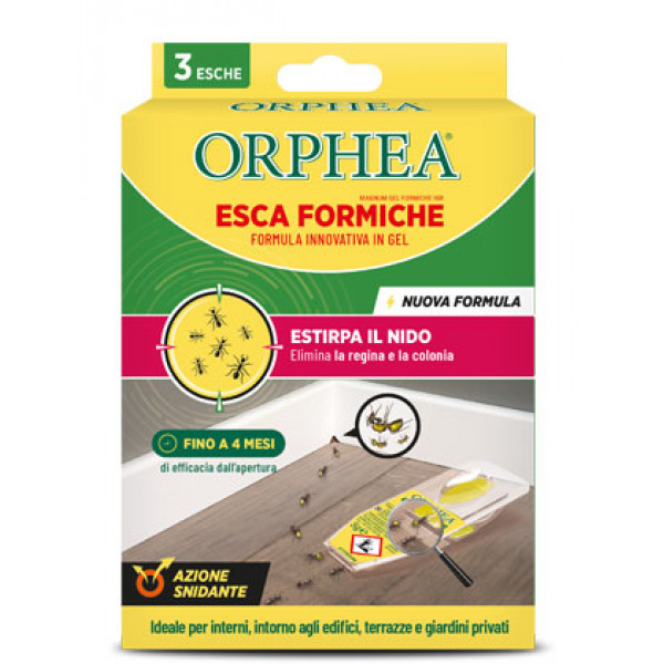 Vaba za mravlje, Orphea